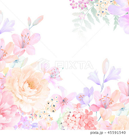 花 フラワー お花 45591540