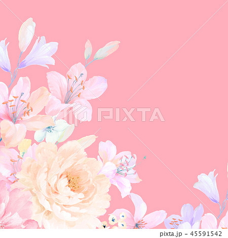 花 フラワー お花 45591542