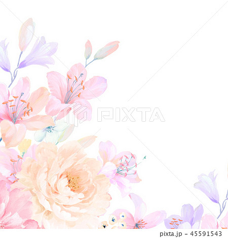 花 フラワー お花 45591543