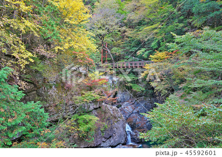 【御手洗渓谷の紅葉】 奈良県天川村北角地内 45592601
