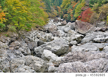 【御手洗渓谷の紅葉】 奈良県天川村北角地内 【御手洗渓谷の紅葉】 奈良県天川村北角地内 45592605