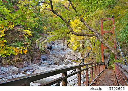 【御手洗渓谷の紅葉】 奈良県天川村北角地内 45592606