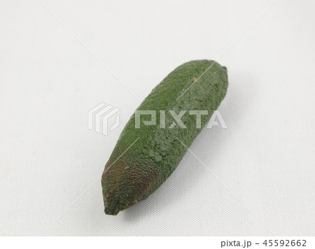 フィンガーライム グリーン フィンガーライム グリーン 45592662