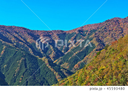 【ナメゴ谷の紅葉】 (高解像度版) 奈良県吉野郡上北山村西原 45593480
