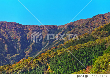 【ナメゴ谷の紅葉】 (高解像度版) 奈良県吉野郡上北山村西原 45593485