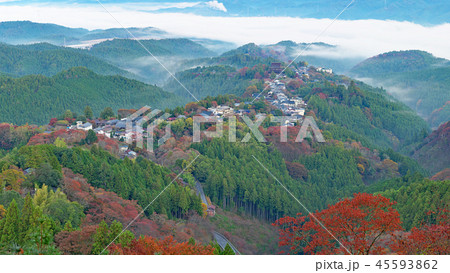 吉野山の雲海 紅葉 高解像度版 奈良県吉野郡吉野町吉野山の写真素材