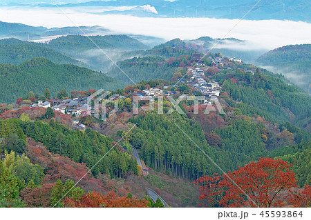 【吉野山の雲海 (紅葉)】 (高解像度版) 奈良県吉野郡吉野町吉野山 45593864
