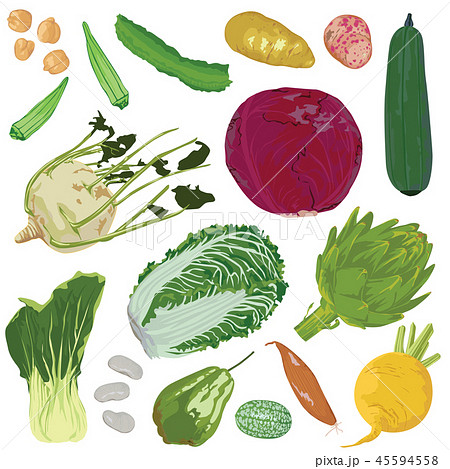 vegetables on white background 45594558