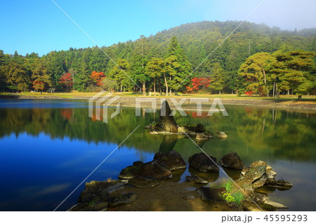 紅葉の毛越寺 45595293