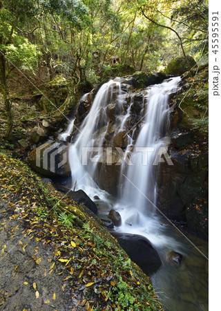 鶏鳴の滝（けいめいの滝）滋賀県甲賀市 45595591