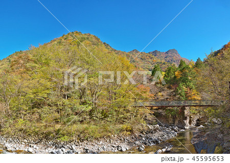 【天ノ川渓谷の紅葉】 (高解像度版) 奈良県吉野郡天川村北角 【天ノ川渓谷の紅葉】 (高解像度版) 奈良県吉野郡天川村北角 45595653