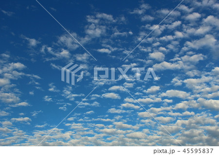 空 45595837