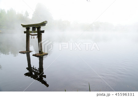 秋の湯布院 秋の湯布院 45596331