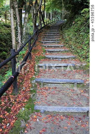 熊野磨崖仏 45596756