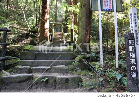 熊野磨崖仏 45596757