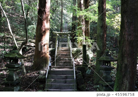 熊野磨崖仏 45596758