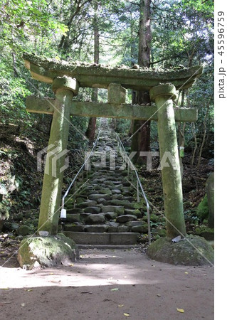 熊野磨崖仏 45596759