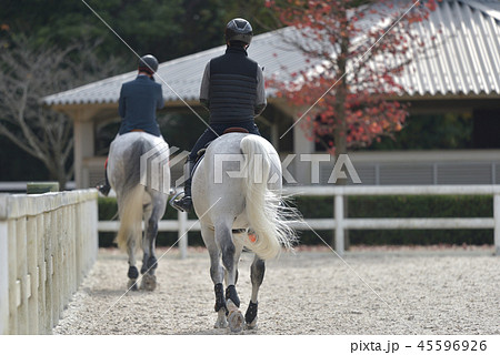 障害馬術大会 競技前の調整風景の写真素材