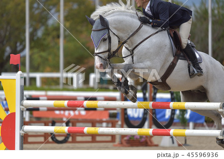 障害馬術大会 障害馬術大会 45596936