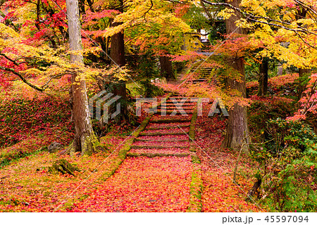 龍穏寺　京都　南丹市　紅葉 45597094