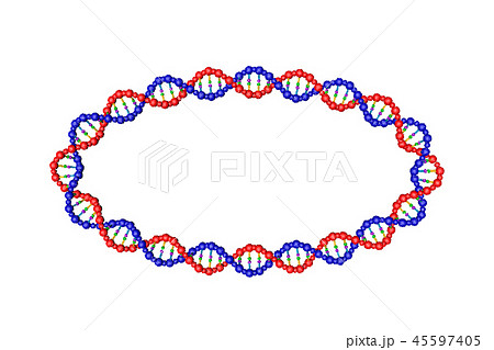 Dna Strand In Form Of Oval Vector Illustration のイラスト素材