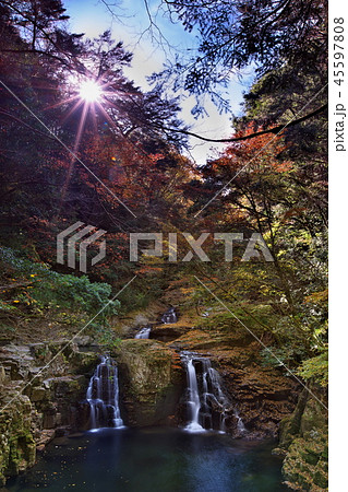 赤目四十八滝の荷担滝 赤目四十八滝の荷担滝 45597808