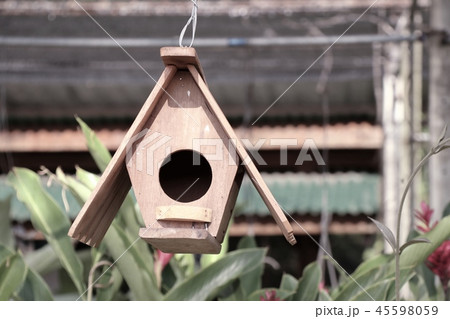Bird house for sale 45598059