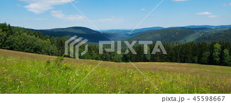 Panorama of Bohemian Forest in the springtime. Panorama of Bohemian Forest in the springtime. 45598667