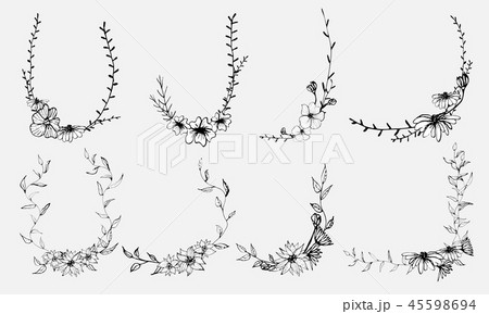 Hand drawn flowers, Botanical decorative element 45598694