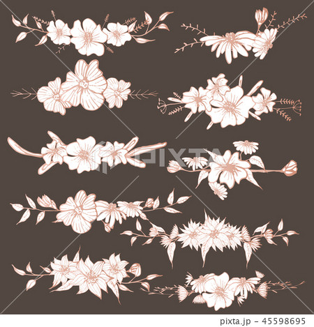 Hand drawn flowers, Botanical decorative element 45598695