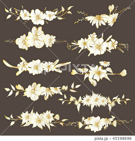 Hand drawn flowers, Botanical decorative element Hand drawn flowers, Botanical decorative element 45598696