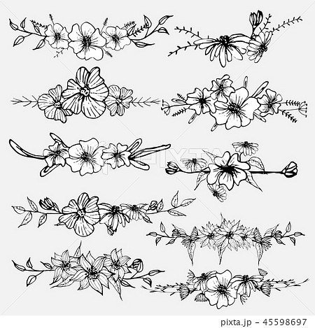 Hand drawn flowers, Botanical decorative element Hand drawn flowers, Botanical decorative element 45598697