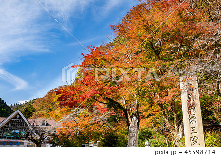 東京・高尾山の紅葉 東京・高尾山の紅葉 45598714