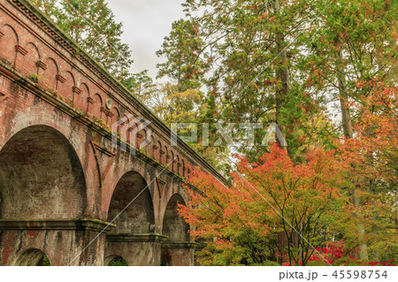 南禅寺　紅葉 45598754