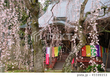 栄福寺(千葉市) 栄福寺(千葉市) 45599353