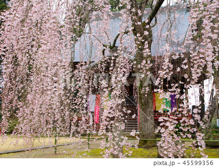 栄福寺(千葉市) 栄福寺(千葉市) 45599356