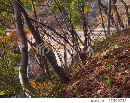 めがね橋　碓氷第三橋梁（群馬県安中市松井田町坂本） 45599755