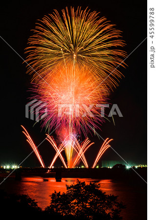 雄物川花火 45599788