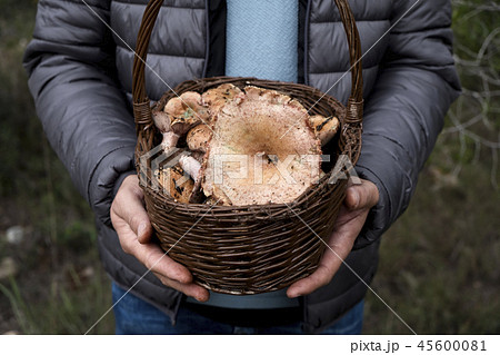 man with a basket full of red pine mushrooms. 45600081