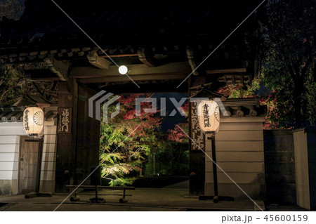 将軍塚　紅葉　ライトアップ 45600159