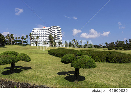 風景 ホテル 芝生 45600826