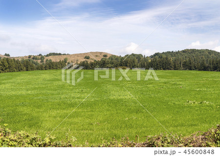 島 風景 海 45600848