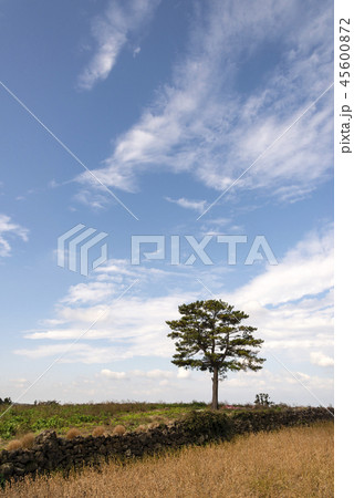 島 風景 海 45600872