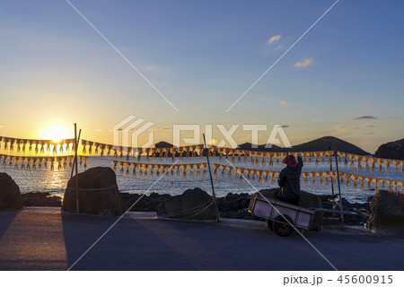 島 風景 海 45600915