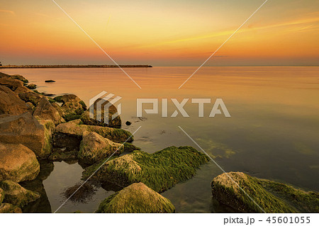 warm colors warm colors 45601055