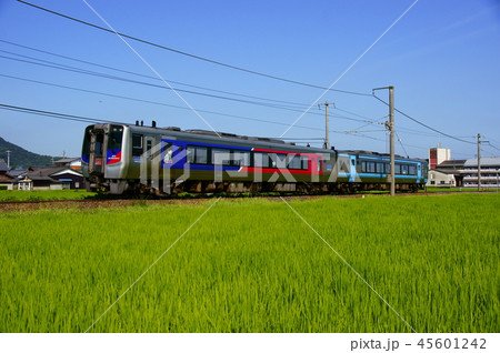 特急しまんと5号（N2000+2000系）　土讃線：善通寺～琴平 45601242