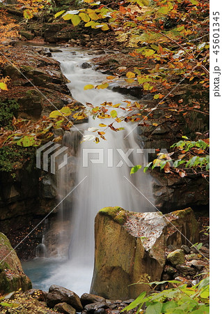 仁三郎の滝 45601345