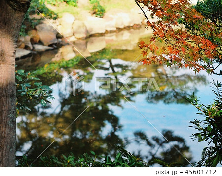 水鏡、秋 45601712