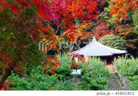 秋の栃木 清水寺 秋の栃木 清水寺 45601851
