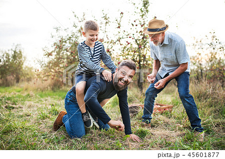Small boy with father and grandfather in apple orchard in autumn, having fun. Small boy with father and grandfather in apple orchard in autumn, having fun. 45601877